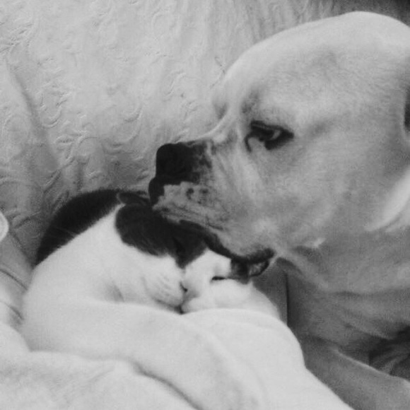 Meet your Posher, Megan - Picture 4 of 16